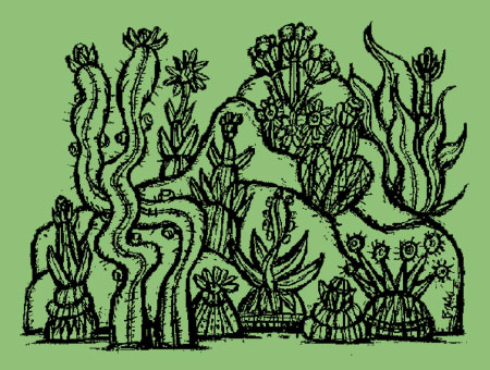 cactus